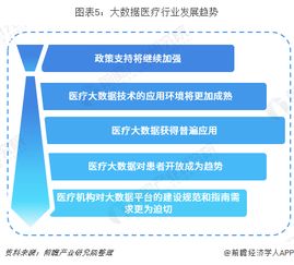 大数据服务在医疗领域的应用与发展